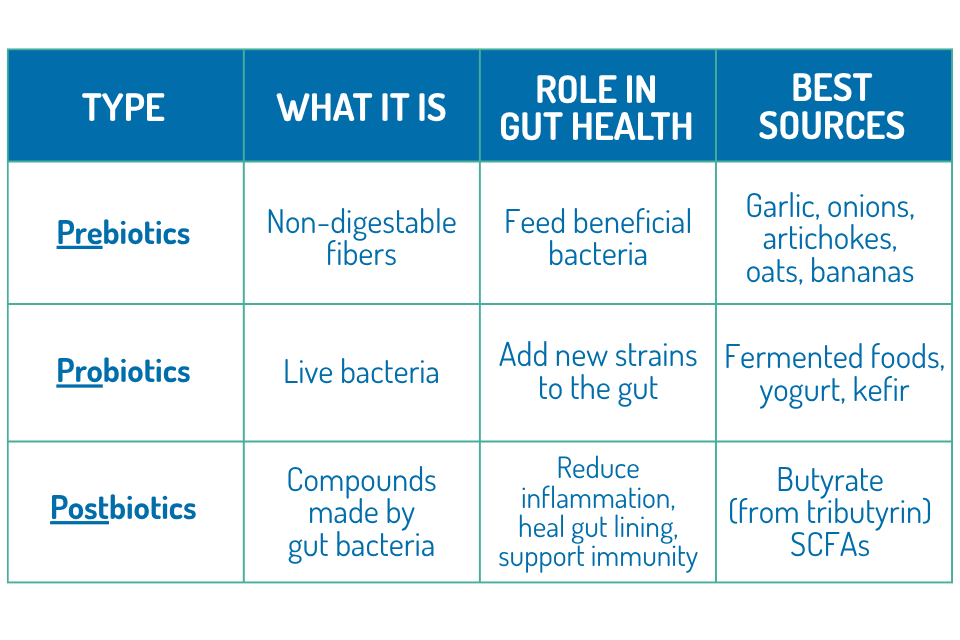 PreBiotic Probiotic Postbiotic Chart