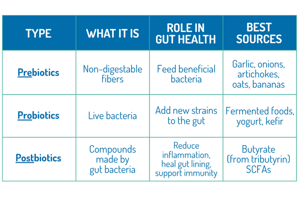 PreBiotic Probiotic Postbiotic Chart